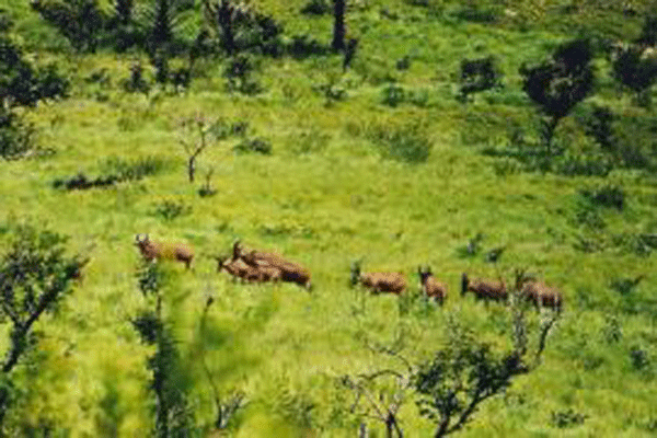 parc animalier